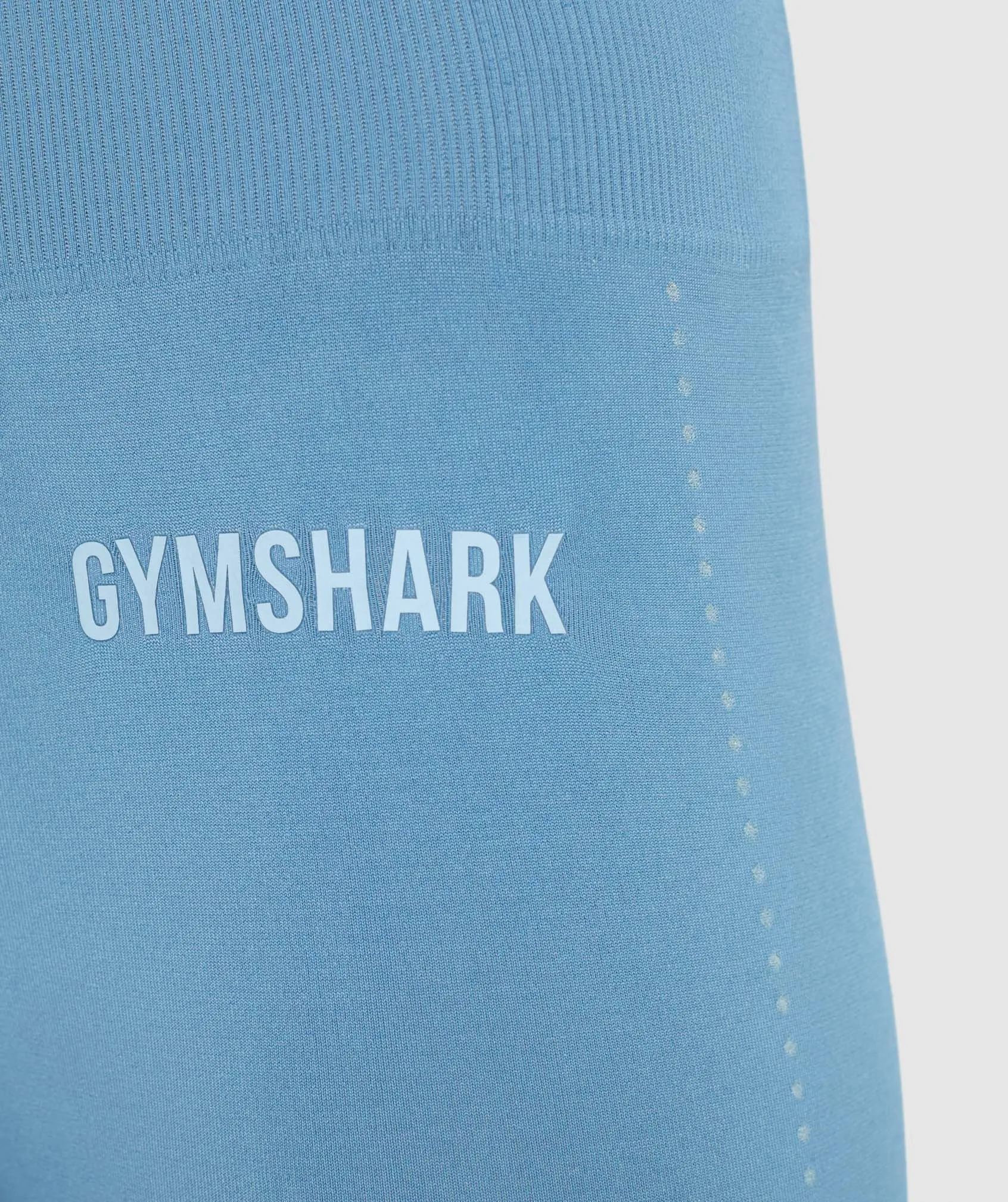 Gymshark Breeze Lightweight Seamless Tights - Blue Stone