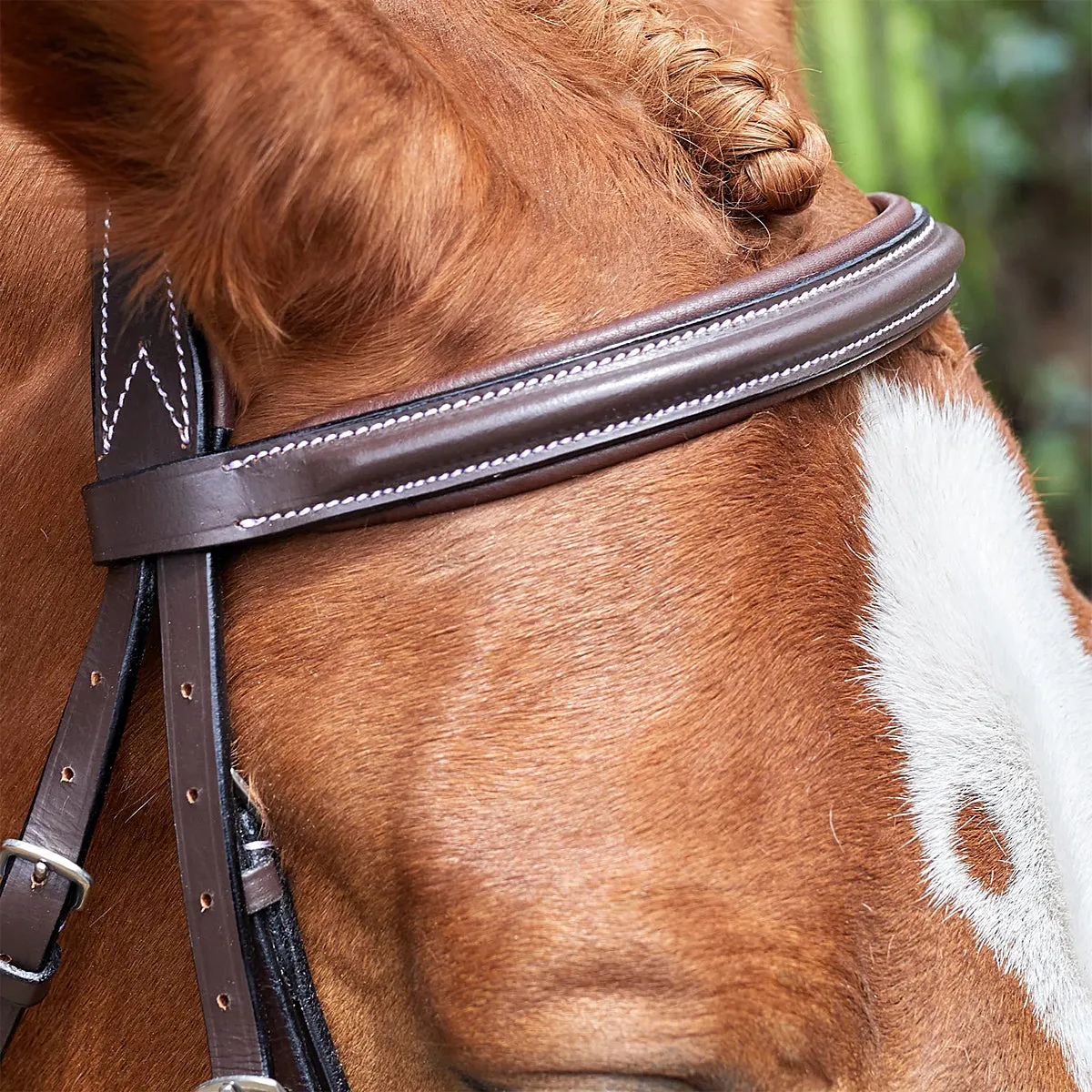 HDR Pro Mono Crown Raised Figure Eight Bridle with Rubber Reins