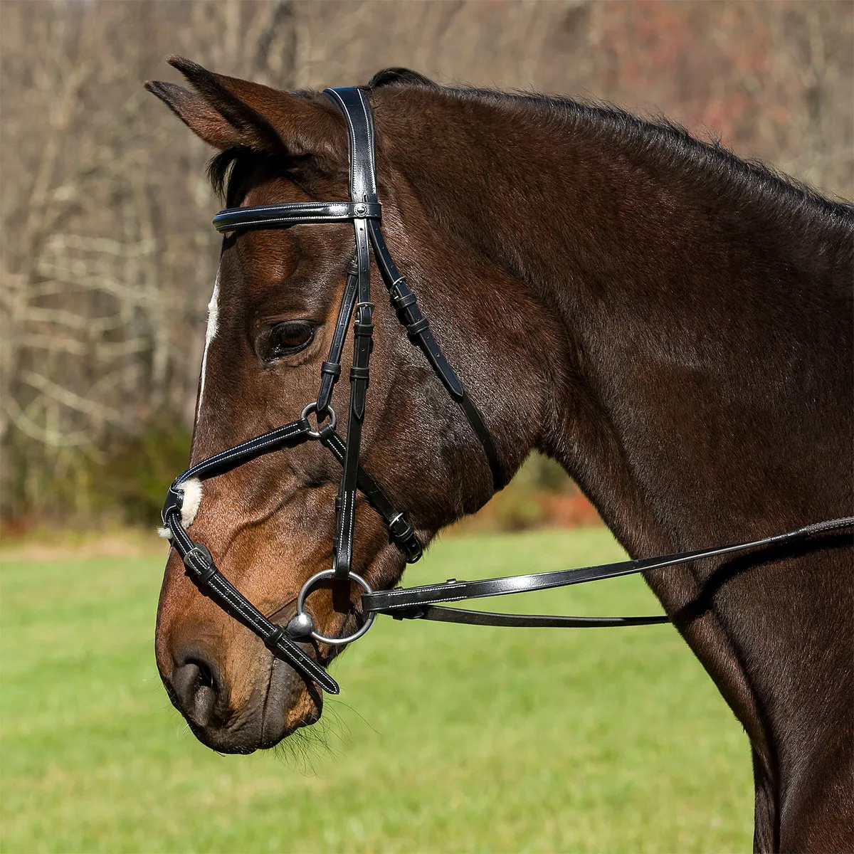 HDR Pro Mono Crown Raised Figure Eight Bridle with Rubber Reins