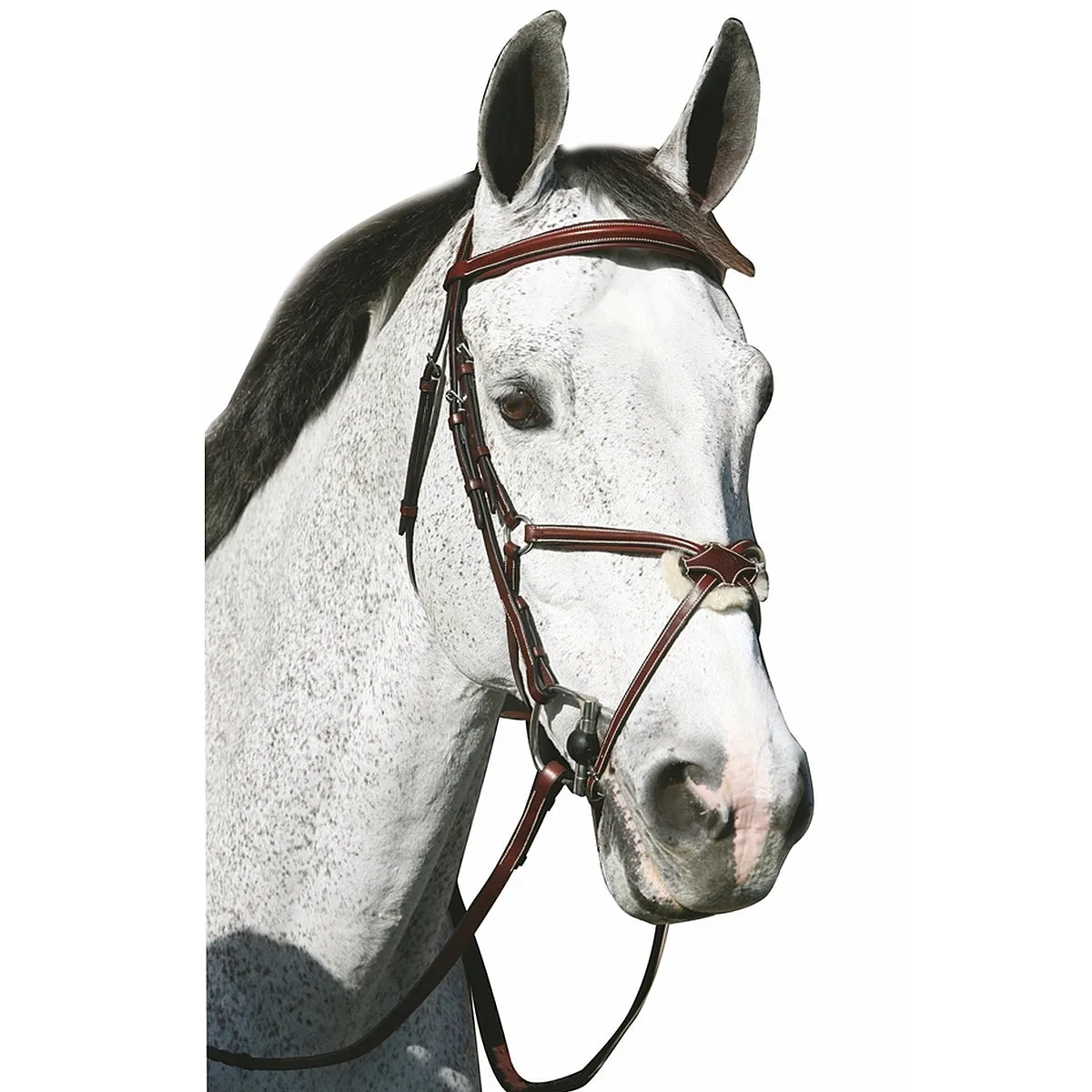 HDR Pro Mono Crown Raised Figure Eight Bridle with Rubber Reins