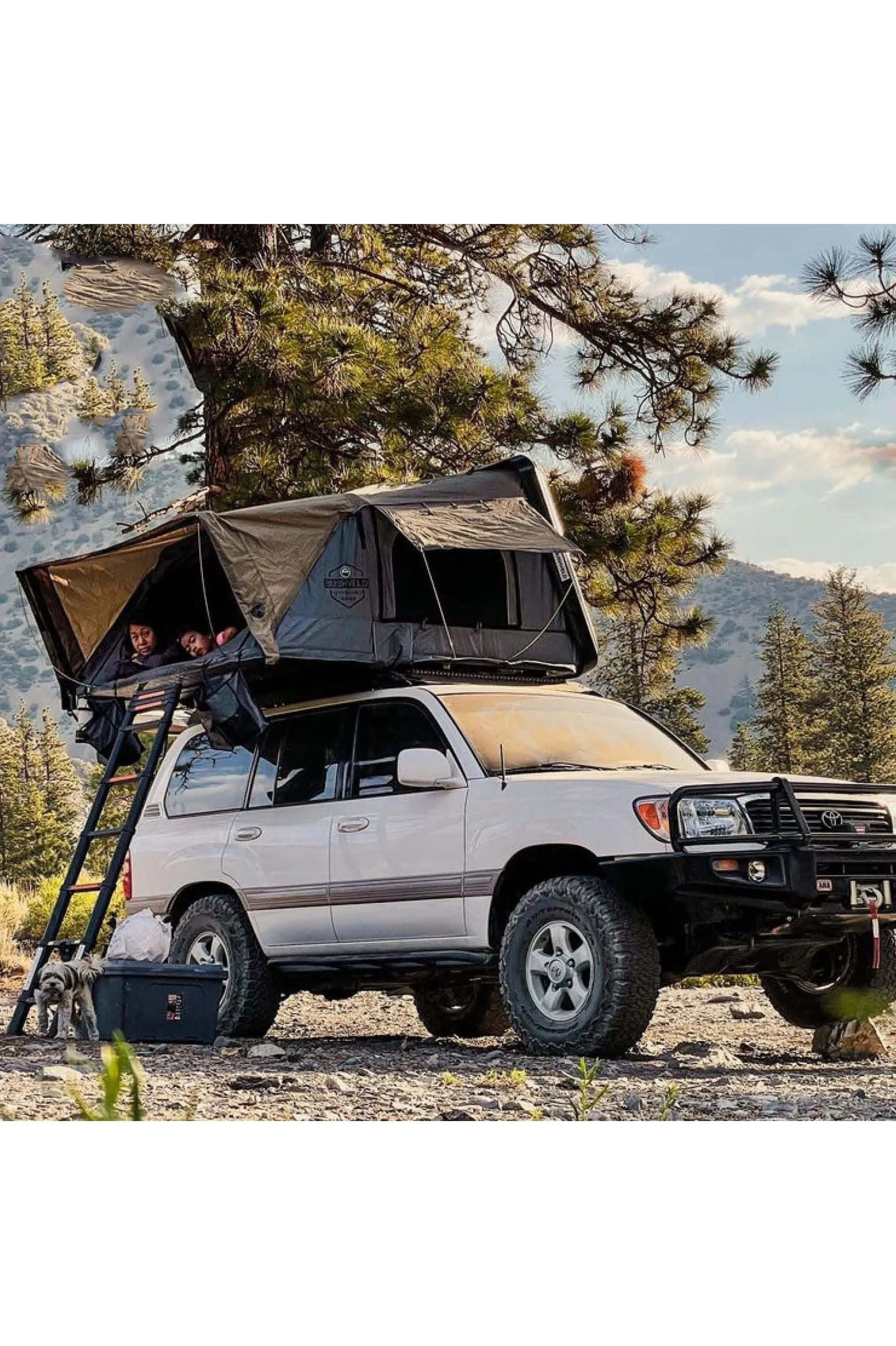 Overland Vehicle Systems Bushveld 4  Person Hard Shell Rooftop Tent